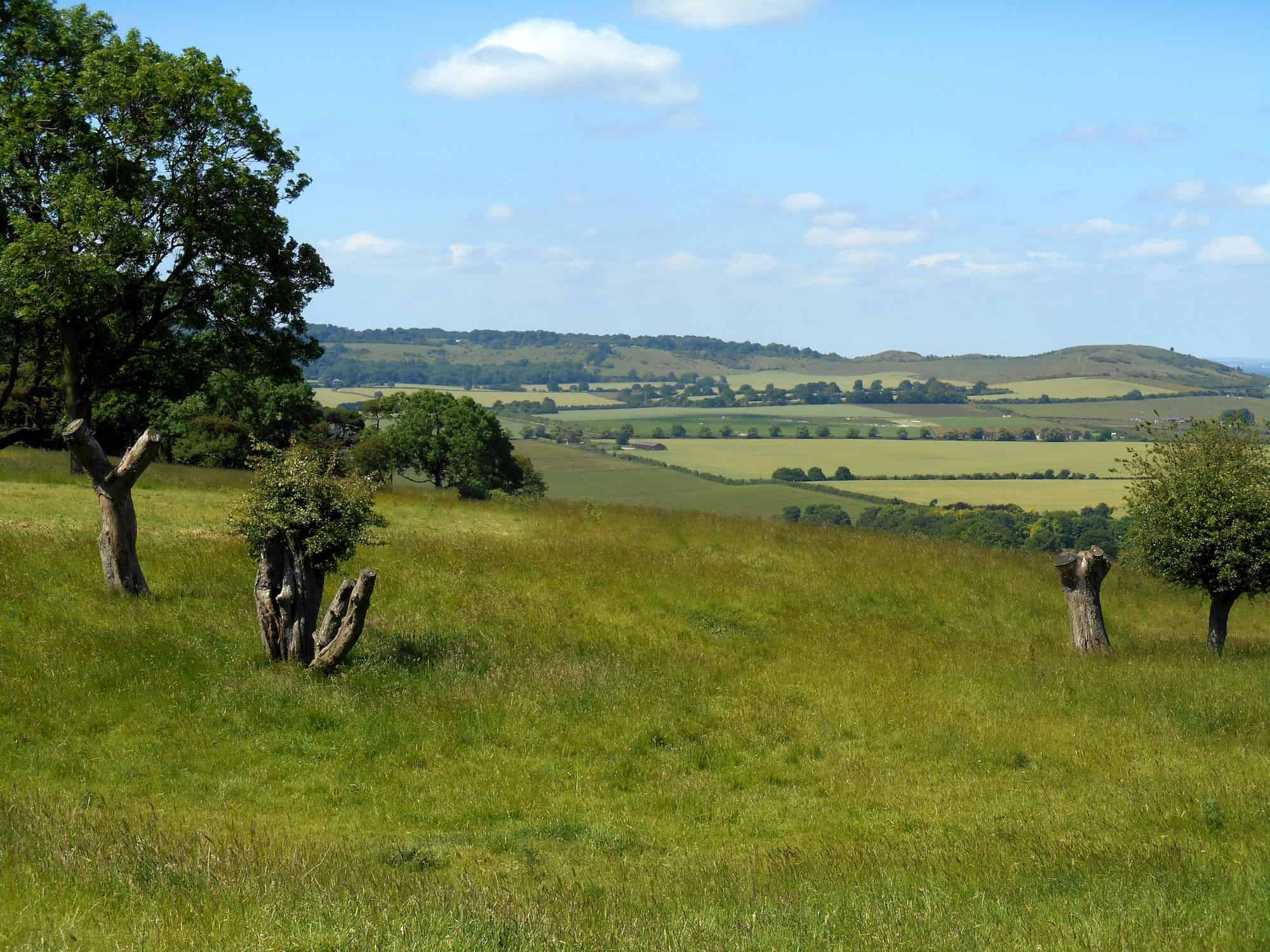 conservation management