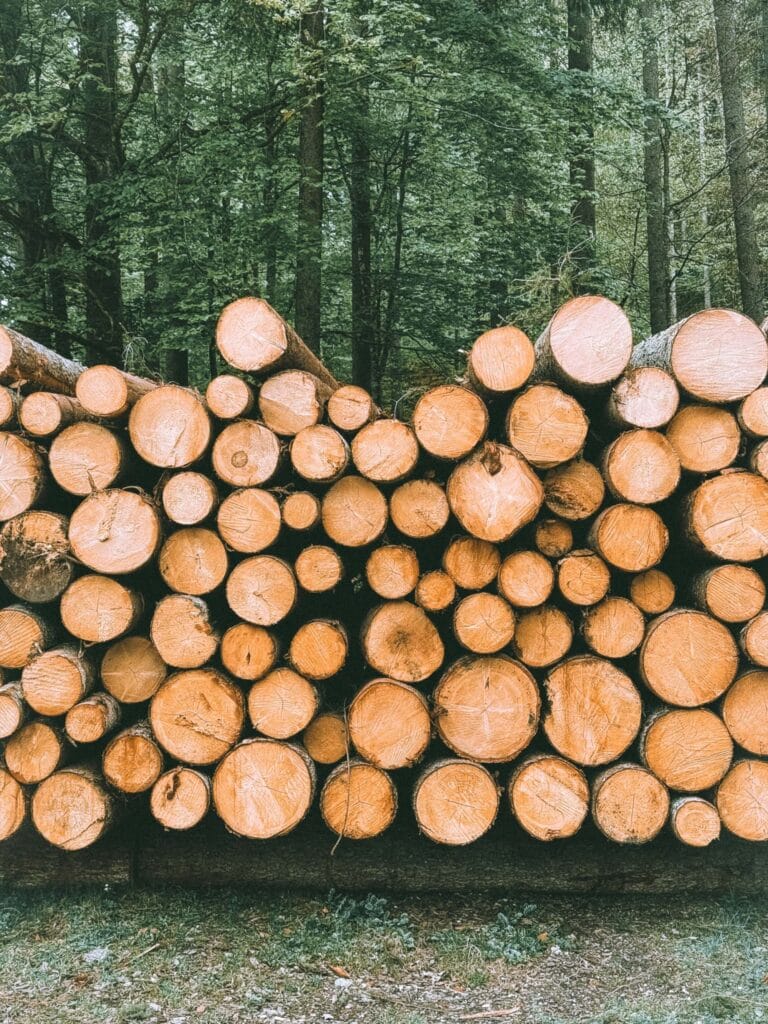 timber harvesting logs