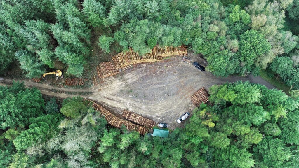 birds eye view of timber harvesting in forest