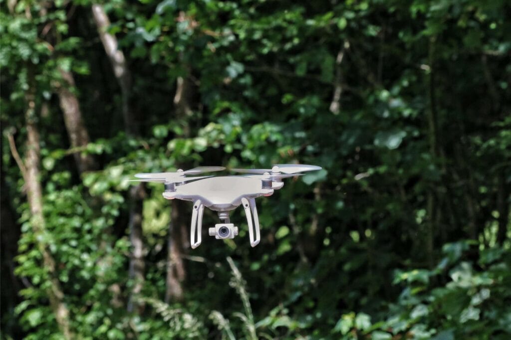 woodland management aerial survey and mapping