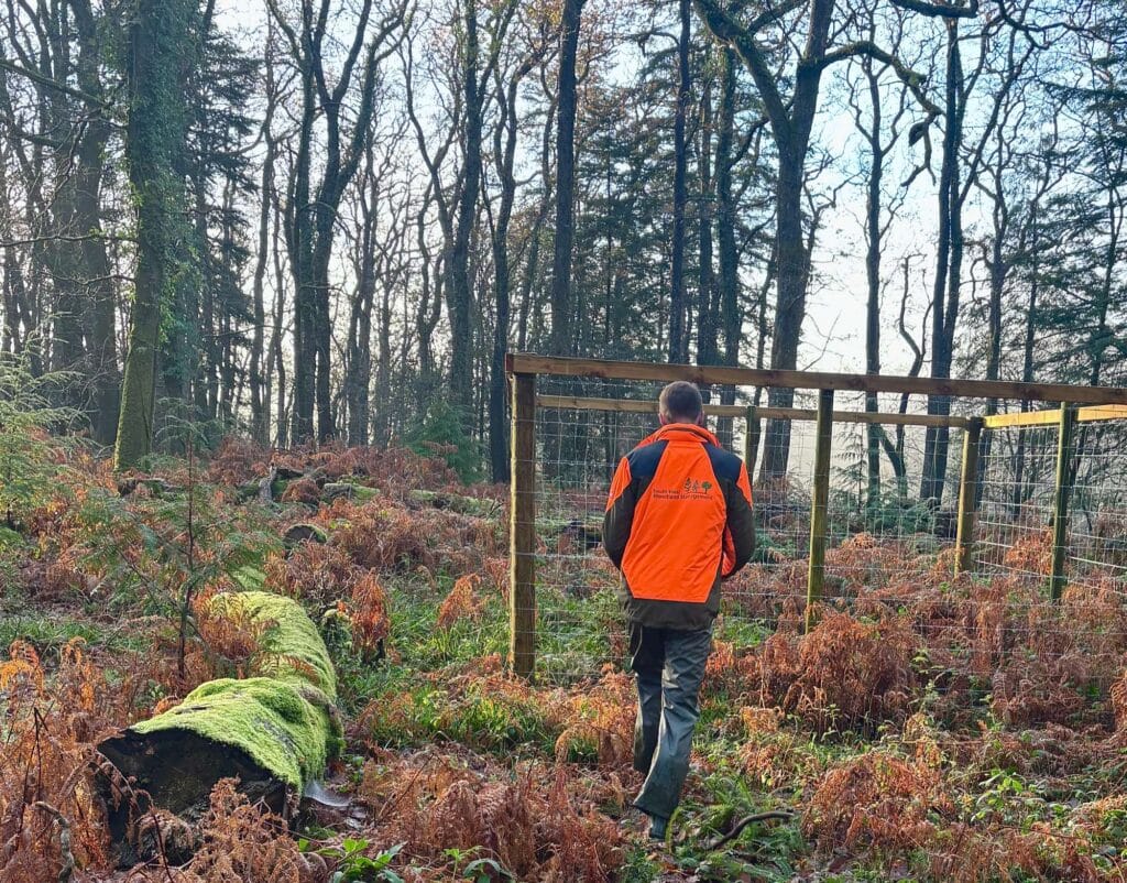 woodland management with SW Woodland Management staff