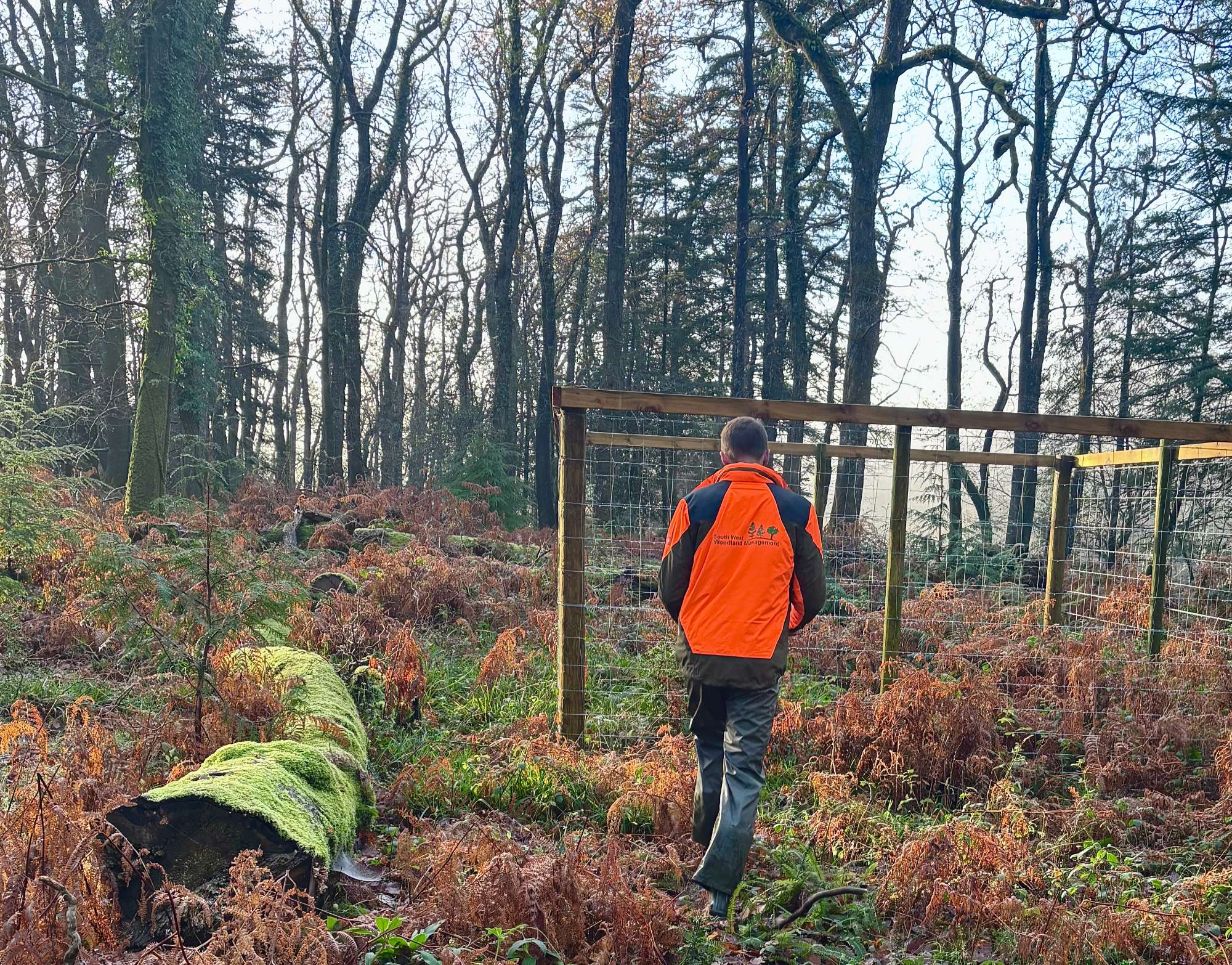 woodland management 41